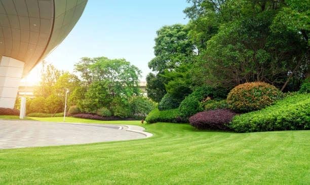 Commercial property lawn, drive, and planted beds along a corporate campus