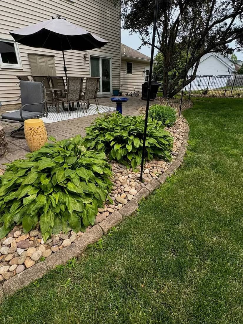 Hostas in a river-rock bed along a paver patio and lawn